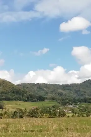 Placeholder: Pegunungan Menoreh dilihat dari pematang sawah